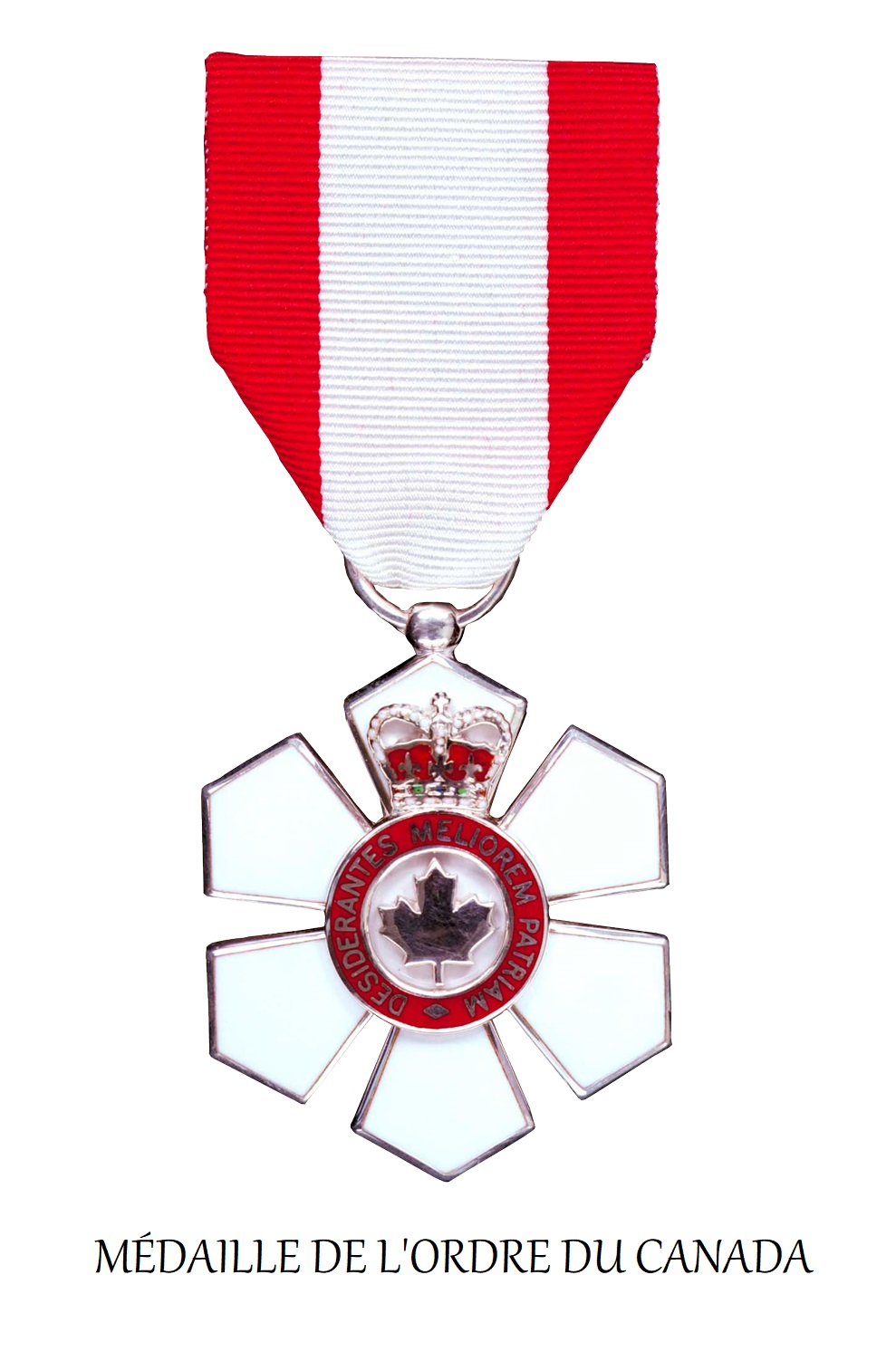 l’Ordre du Canada